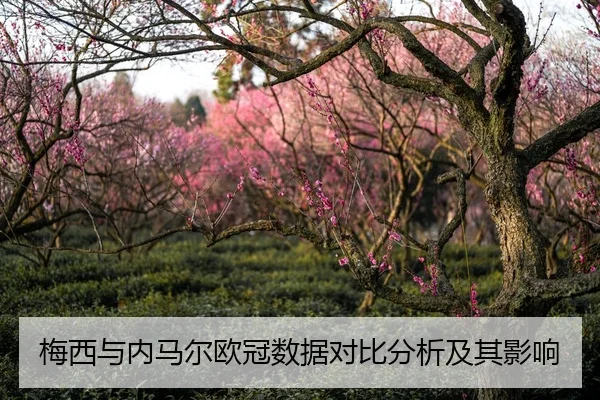 梅西与内马尔欧冠数据对比分析及其影响